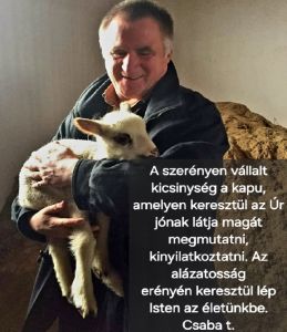 b_300_300_16777215_00_images_stories_Csaba_levelek_Csaba_testver_FB_IMG_1721061064629.jpg