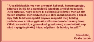 b_300_300_16777215_00_images_stories_Csaba_levelek_Vegyes_Szeretettel.jpg