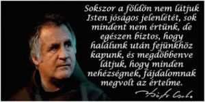 b_300_300_16777215_00_images_stories_Csaba_levelek_Vegyes_cstfajdalomrl.jpg