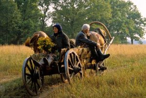 b_300_300_16777215_00_images_stories_Igaz_94219917_2623045927935759_7685059268487151616_n.jpg