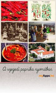 b_300_300_16777215_00_images_stories_Igaz_Pedagogia_szegedi-paprika.jpg