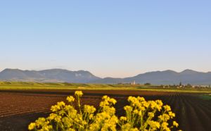 b_300_300_16777215_00_images_stories_Roviden_dsc_2863.jpg