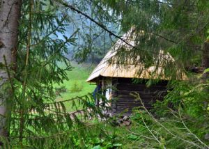 b_300_300_16777215_00_images_stories_Roviden_pasztorlak.jpg