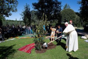 b_300_300_16777215_00_images_stories_Szent_Fopasztorok_ferencpapafatultet19.jpg