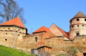 b_300_300_16777215_00_images_stories_Szep_Mualkotas_DSC_3081.JPG