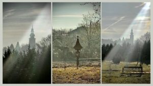 b_300_300_16777215_00_images_stories_Szep_Termeszet_256029462_4450063128382933_3214759324561404507_n.jpg
