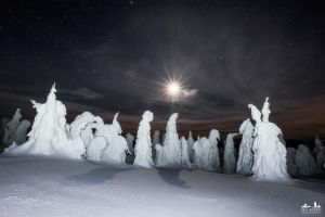 b_300_300_16777215_00_images_stories_Szep_Termeszet_270082663_454678146102332_3304763157289234758_n.jpg