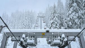b_300_300_16777215_00_images_stories_Szep_Termeszet_324107346_1343439529748430_8612561582769160719_n.jpg
