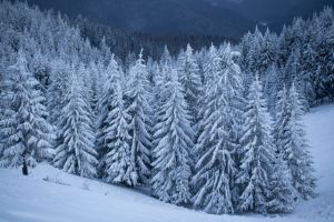 b_300_300_16777215_00_images_stories_Szep_Termeszet_330926610_504912248474390_1043893639200381107_n.jpg