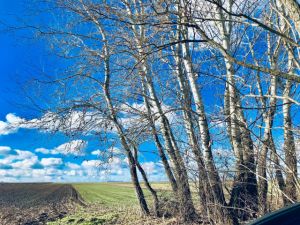 b_300_300_16777215_00_images_stories_Szep_Termeszet_73423405_1591145401027318_1416844994383183872_o.jpg