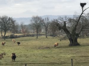 b_300_300_16777215_00_images_stories_Szep_Termeszet_IMG_8390.jpg