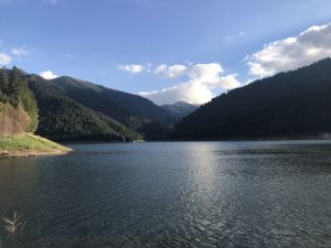 b_300_300_16777215_00_images_stories_Szep_Termeszet_IMG_9622.jpg
