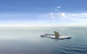 b_300_300_16777215_00_images_stories_Szep_Termeszet_polar_bear_melting_arctic.jpg