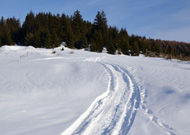 Bővebben: A porszem